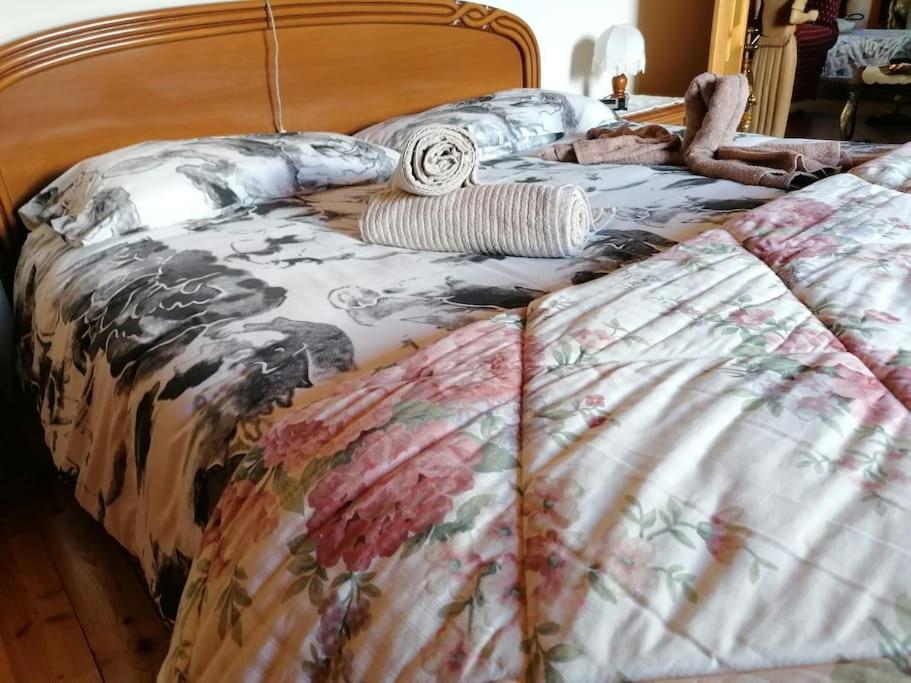 Chalet Del Paese Incantato Moncenisio Εξωτερικό φωτογραφία
