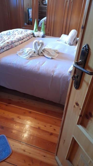 Chalet Del Paese Incantato Moncenisio Εξωτερικό φωτογραφία